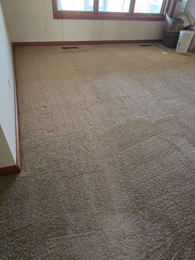 close-up of a carpet in a room
