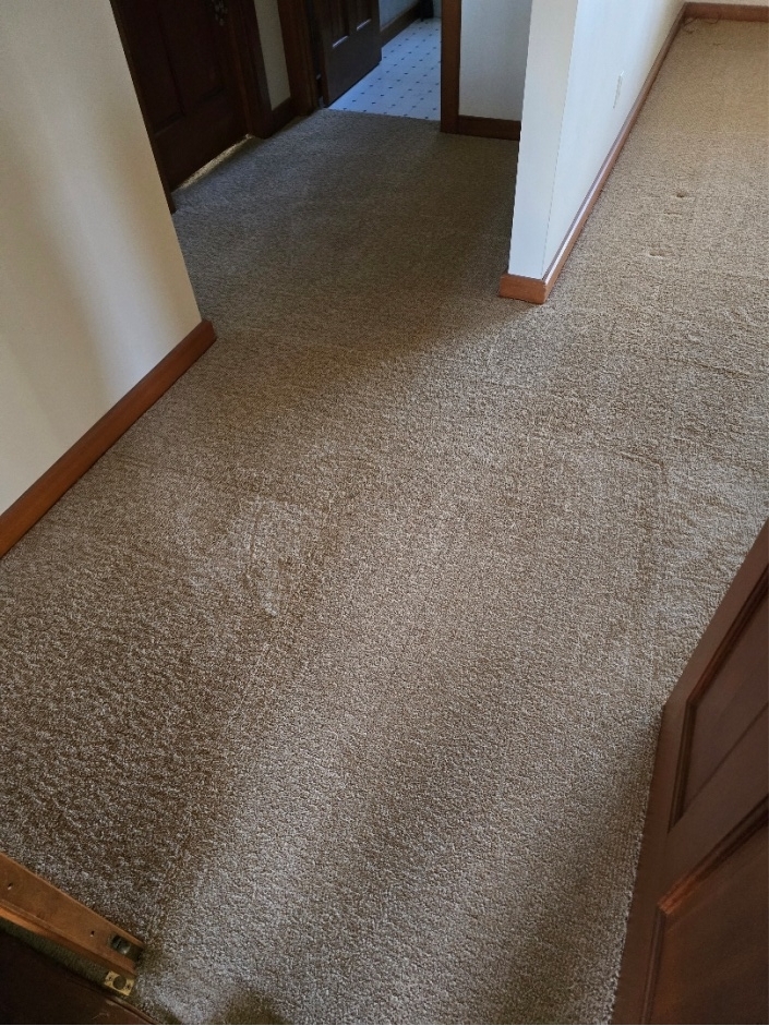 Discover professional carpet cleaning methods in Bozeman with BMS Premier Cleaners for deeper cleaning, stain removal, healthier carpets, and longer-lasting results you can trust.