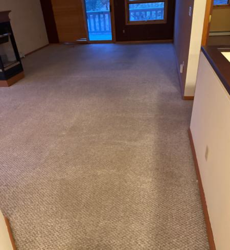 An image of a clean carpeted living area after floor care