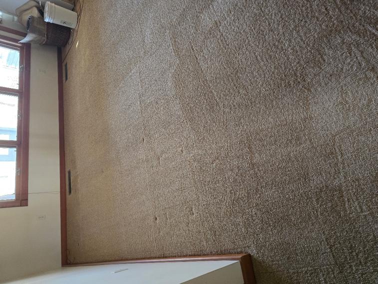 An image of freshly cleaned carpet in a residential room