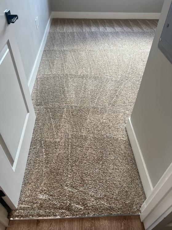 An image of freshly cleaned carpet along a frequently traveled doorway path